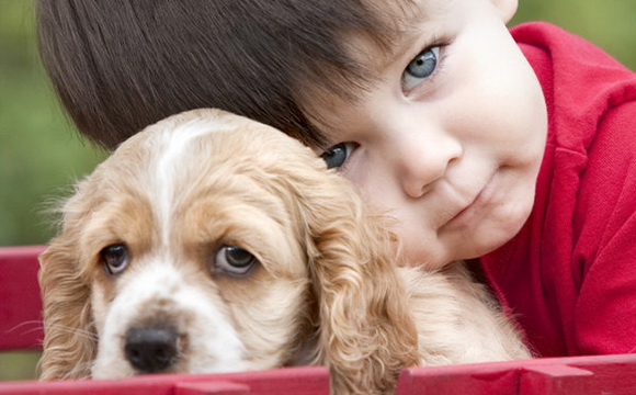 Домашние животные для детей: техника психологической безопасности